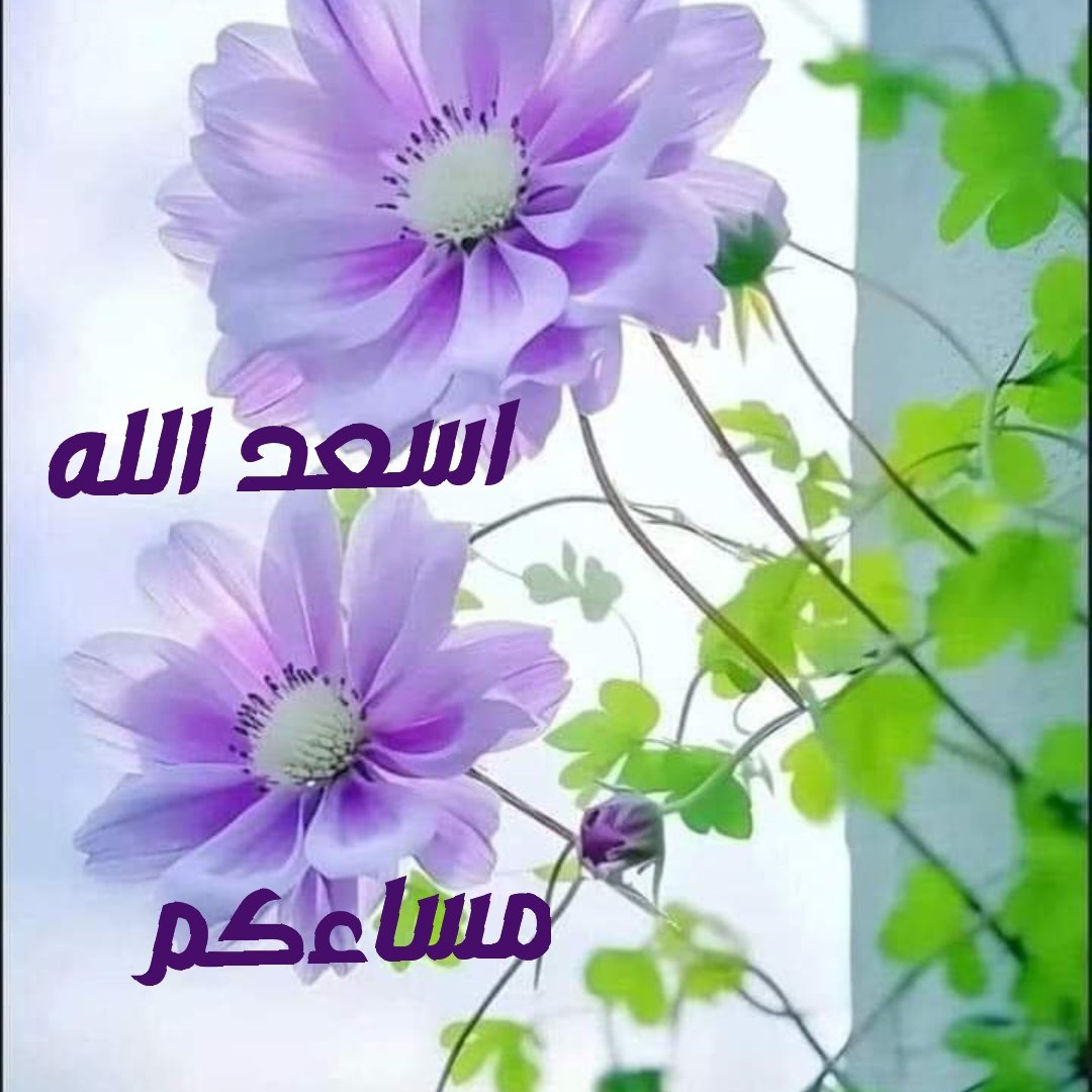 #نهرب أحيانا  ليس  لاننا  نخشى المواجهة،،
بل لاننا  لا نريد أن نرتطم بحقيقة  جديدةقد  تهدم آخر ما  تبقى بداخلنا،،🌹🌹