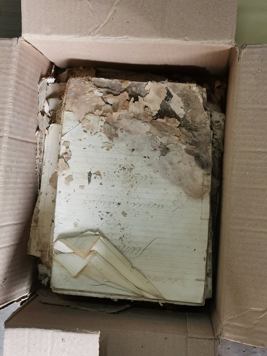 saraposadao's tweet photo. El pasado fin de semana el Semillero de Paleografía y Diplomática de la Unal, Sede Medellín, estuvo en Sonsón participando en la aplicación de primeros auxilios y descripción de documentos de los siglos XVIII y XIX pertenecientes al Archivo Histórico Judicial de Sonsón. 🥼🧤📜✏️ https://t.co/XwjtlXoAmg
