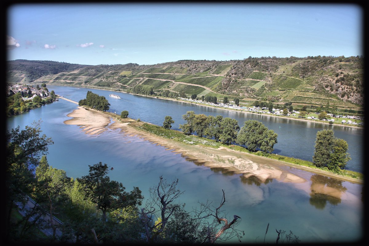 ChrissyvWellean's tweet photo. … eternal flow … #rhine #river #mittelrheintal #landscape #countryside #nature #history #vineyard #viewpoint #osterspai #mood #atmoshere #beauty #silence #magic #spell https://t.co/QdEA9oq4iW