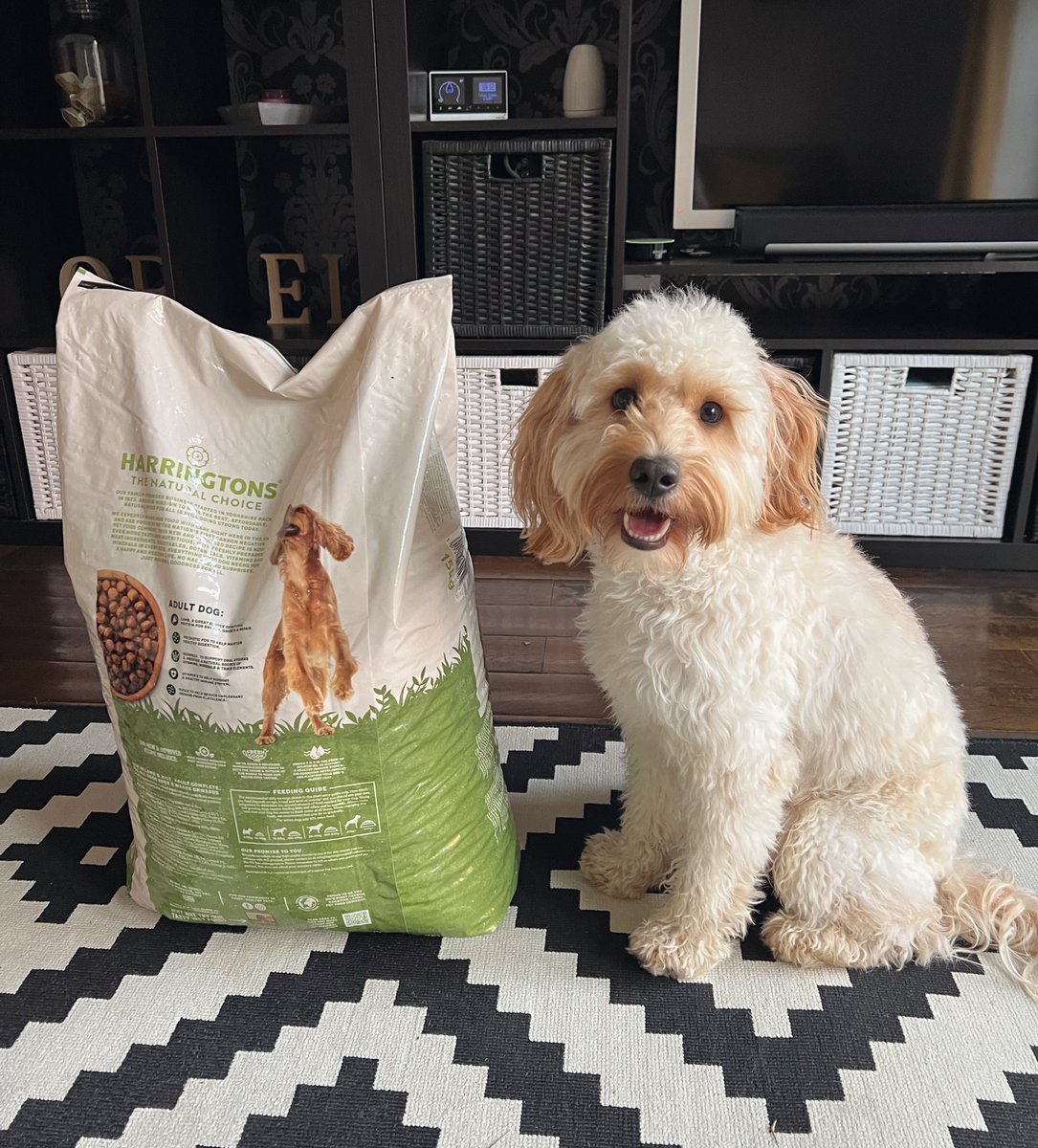Well I guess 15kg of dry dog food IS quite a lot then... 🥴 Akira can't wait to get started though!