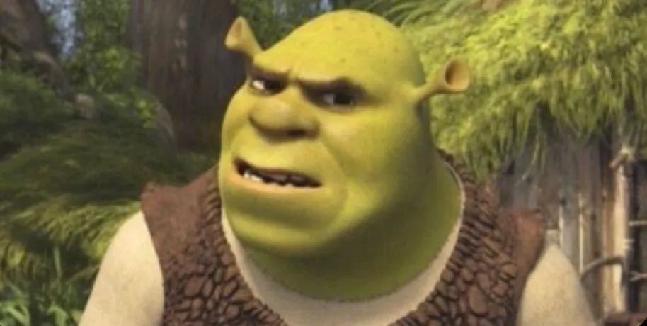 Quando eu coloco “????” na conversa é essa a minha cara