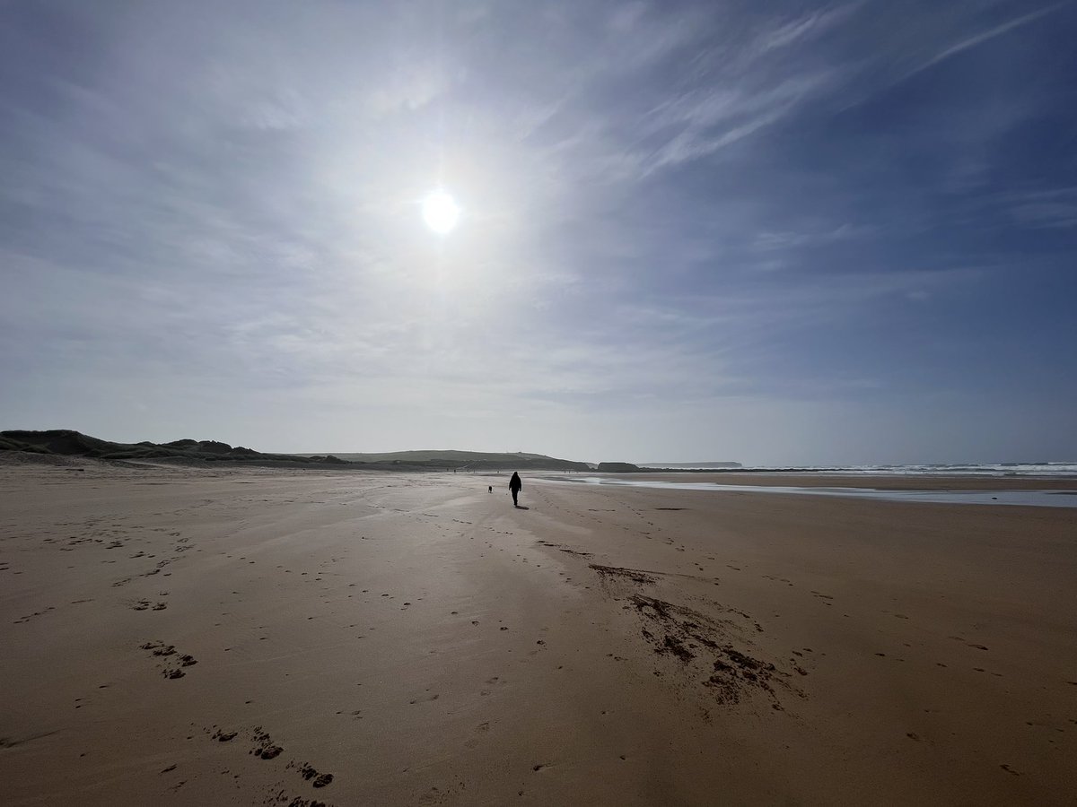 Mightychub's tweet photo. It’s not all rarities for me enjoyed exploring Freshwater West aka Dobbys Beach with Jo. The evidence of post hurricane weather &amp; enjoying big dunes &amp; waves. #Outspiration https://t.co/QpJd1mOvMr
