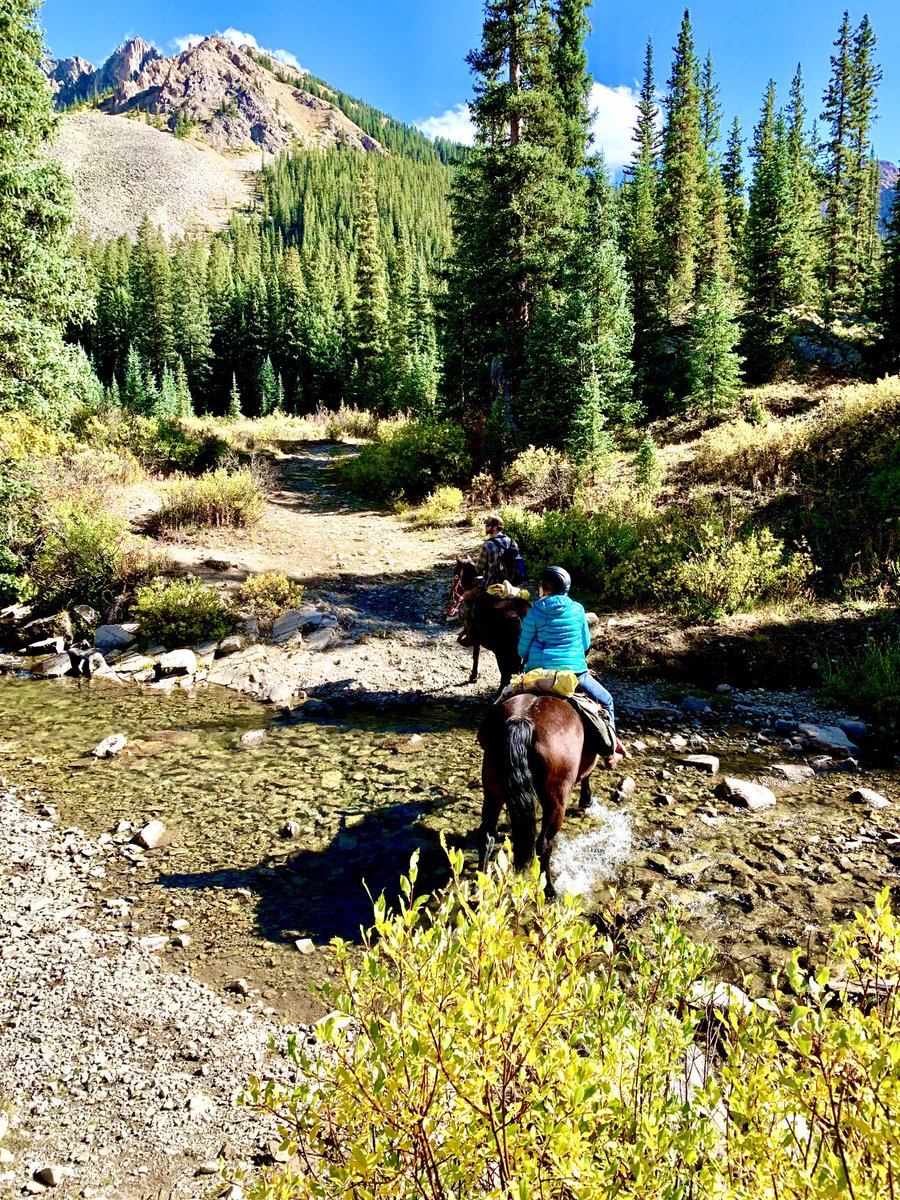 Tim Stanton tweet media