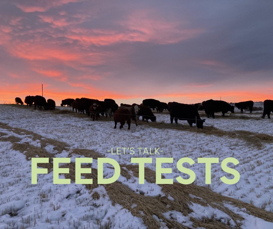 As winter quickly approaches it is time to collect and send off your feed tests, regardless of your feeding system. It is the only way to ensure that you are making the most efficient decisions for your operation. Reach out to us to share your results, get tips and ask questions!