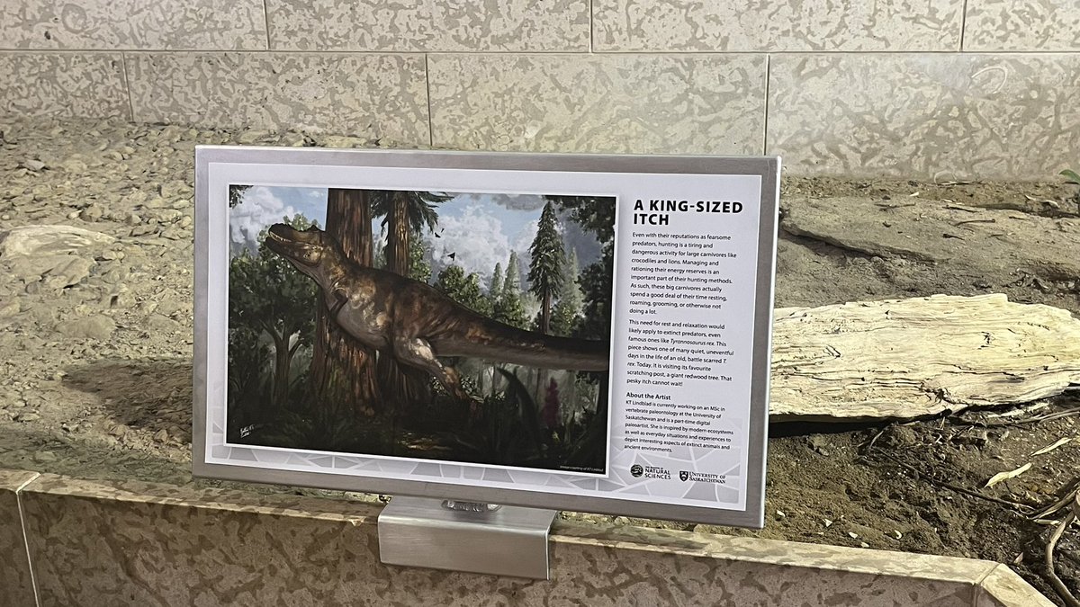 KT☄️ tweet media