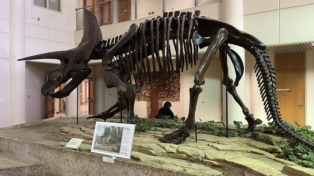 KT☄️ tweet media