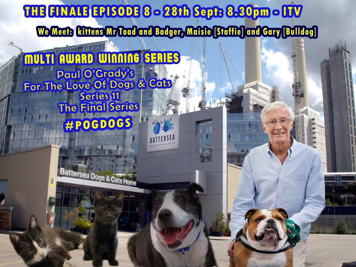 In the final ever episode of #PaulOGrady: For The Love Of Dogs, Thurs 28th Sept. 8:30pm @ITV #pogdogs @RealPOGDogs 

Paul meets 5yr-old Bulldog Gary, who has become known as one of @Battersea_  grumpiest residents and Paul will need to use all his charm to help cheer him up....