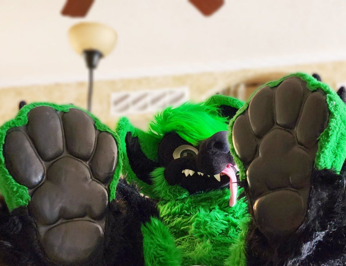 More beans? #morefurlessmonday