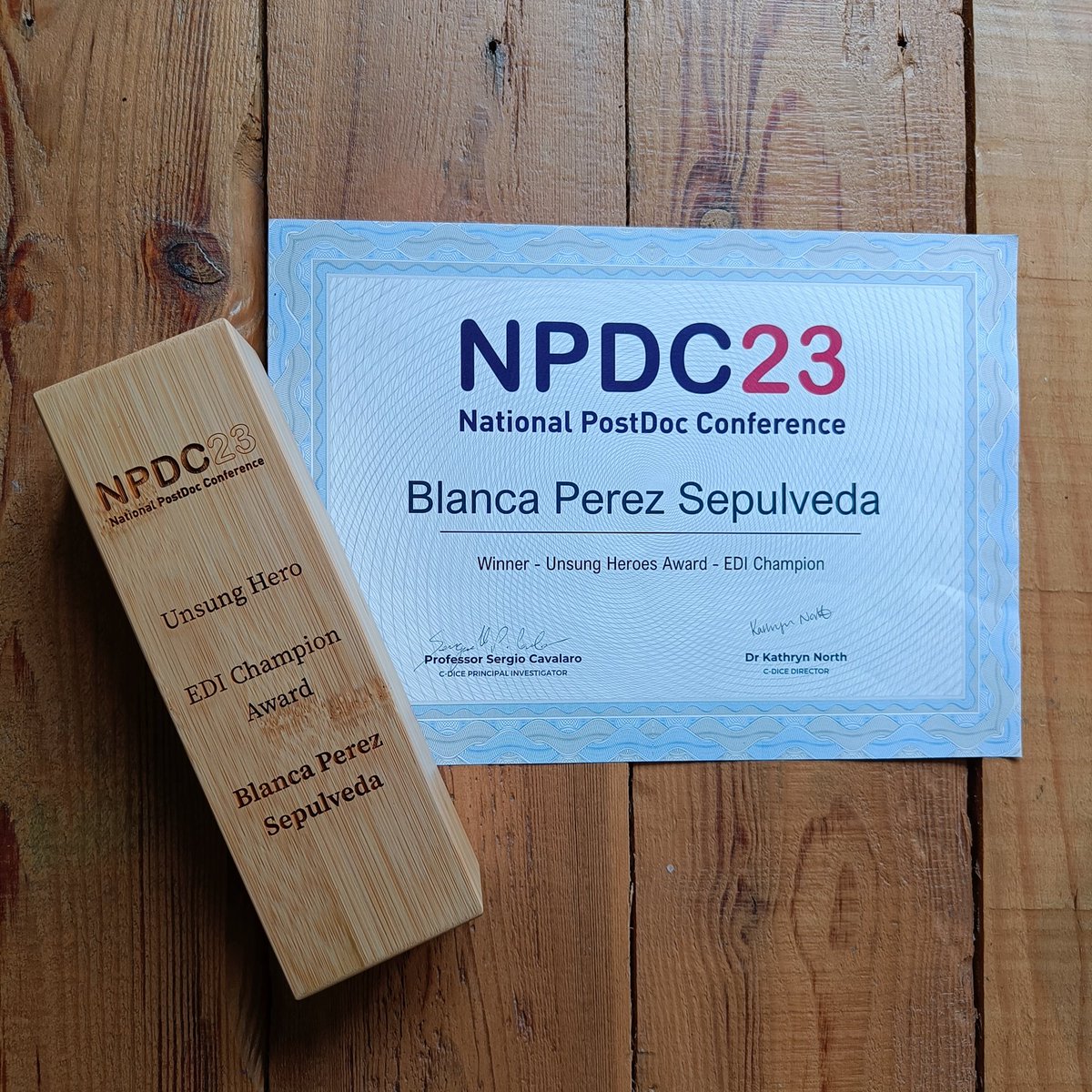 Very grateful and humbled by this award! Feeling inspired to do more!! I hope everyone had a good #NPAW2023 Many thanks to @CentreDice for organising and to @errol42_fiona for accepting on my behalf, I'm very honoured! #LovePostdocs