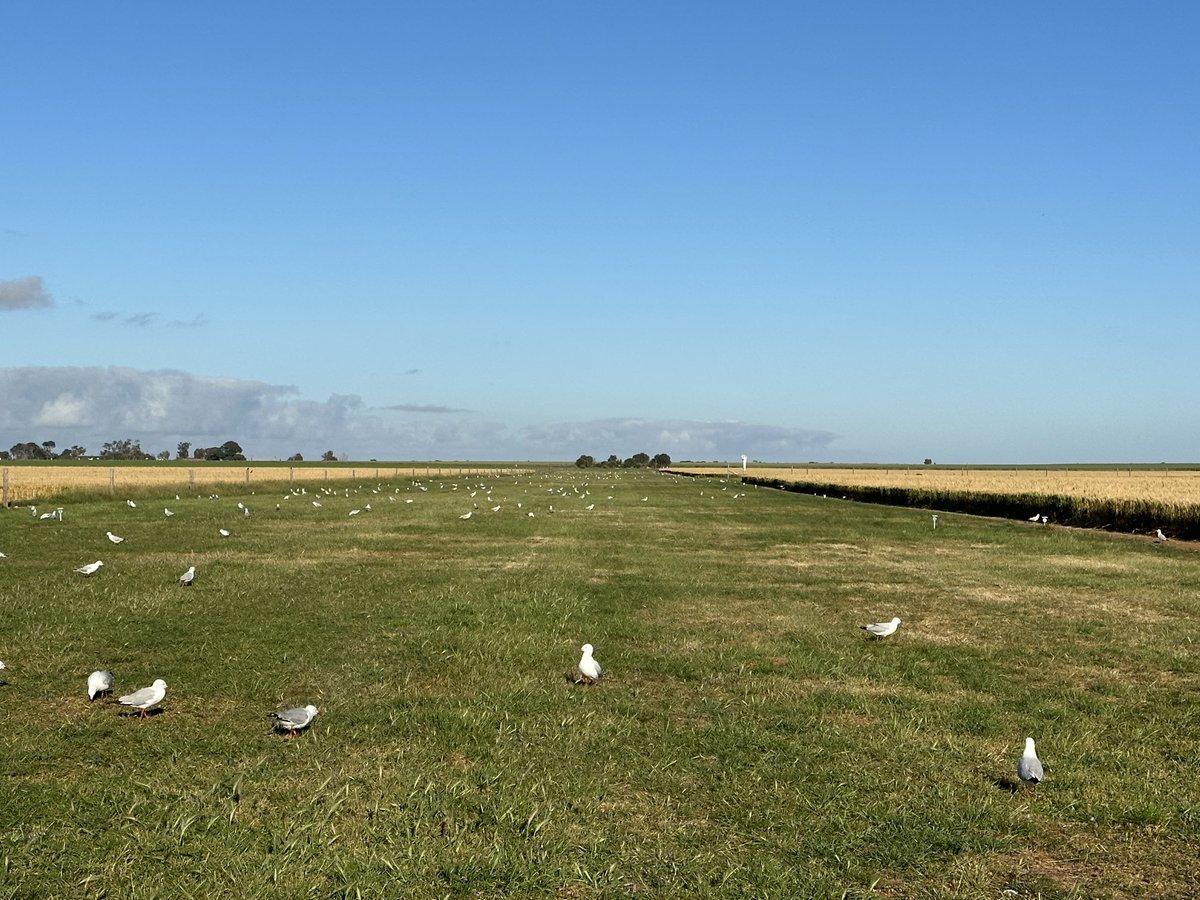 Troy Johnson tweet media