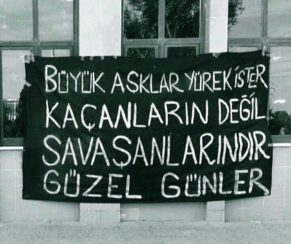Melisa Ceylan tweet media