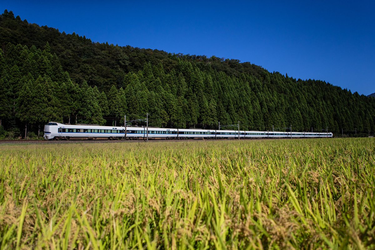 HarborLight1211's tweet photo. 福井県内にEast iが初入線したと盛り上がりを見せているなか、北陸特急街道と呼ばれた、北陸本線からサンダーバード、しらさぎの運行が来年3月で終わろうとしていることもお忘れなく。北陸は秋が確実にきてました。
2023.9.24 https://t.co/PS2jTd8zDG