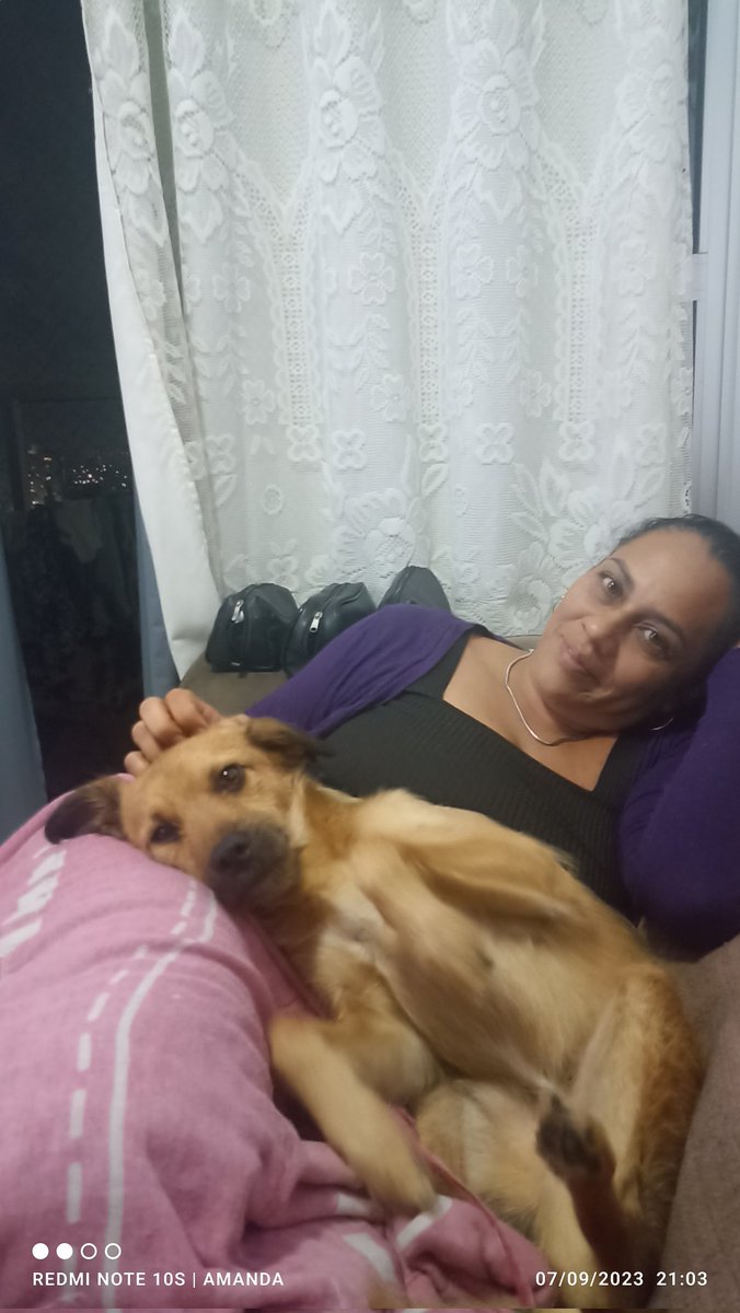 AmandaSeal8's tweet photo. Meu companheiro fiel ! https://t.co/iuChaJFUtr