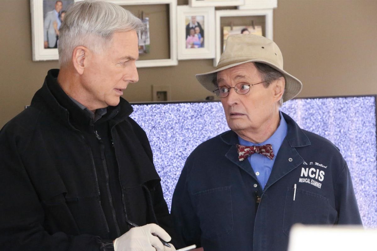 laura_navins's tweet photo. I’ll never forget the first time I saw Mark Harmon and David McCallum together on Jag where #NCIS got its start. They were an incredible duo to watch. It will definitely be weird not seeing Ducky when Season 21 comes. #RIPDavidMcCallum @ncisverse https://t.co/3bWOrhAZGB