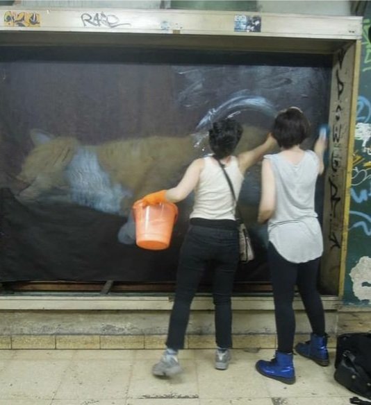 gobi_desert__'s tweet photo. otra foto d la pochi en una obra en proceso de @malesils . pochita subterránea, debajo del obelisco ♡ https://t.co/LYzoKnzTOP