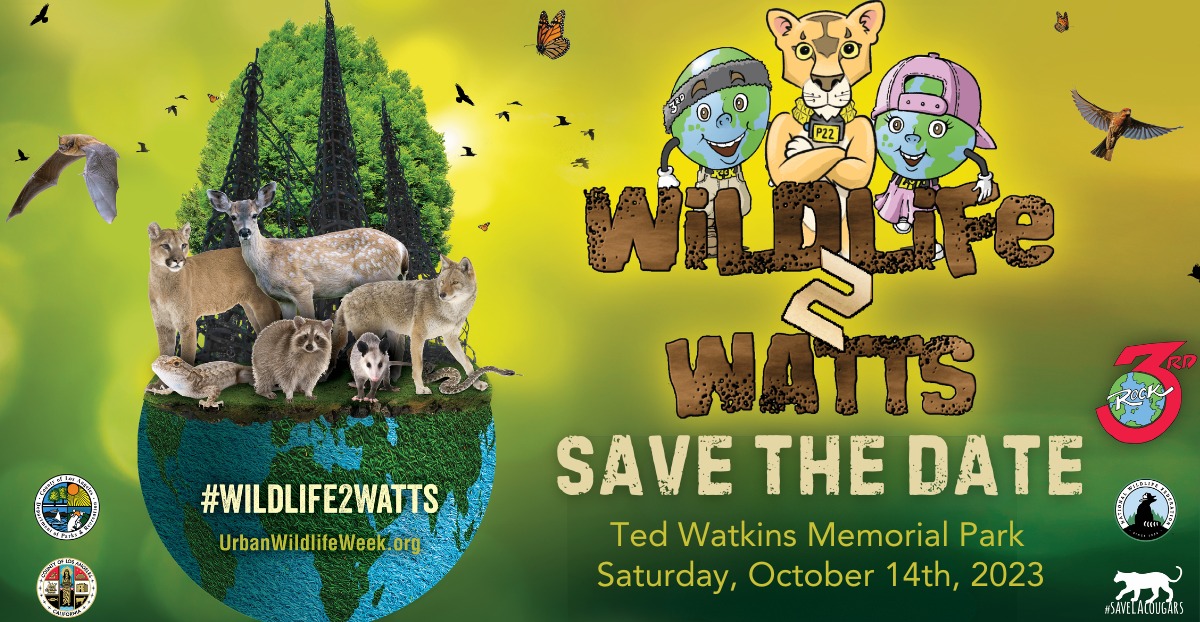 𝐖𝐀𝐓𝐓𝐒, 𝐂𝐀 — 𝐉𝐨𝐢𝐧 𝐮𝐬 𝐨𝐧 𝐎𝐜𝐭. 𝟏𝟒! Our team is delighted to be back as an exhibitor during this year's Wildlife 2 Watts event hosted by @NWF & @3rdRockHipHop. 

Stop by the our booth for trail demos & science fun!
fb.me/e/YsNgyEDZ

@P22ofHollywood