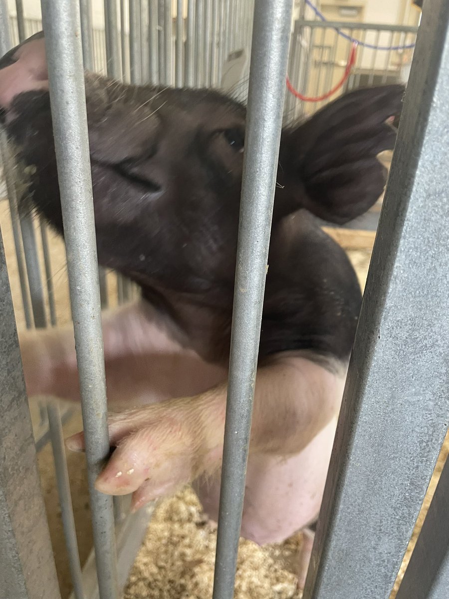 Humble ISD CTE tweet media