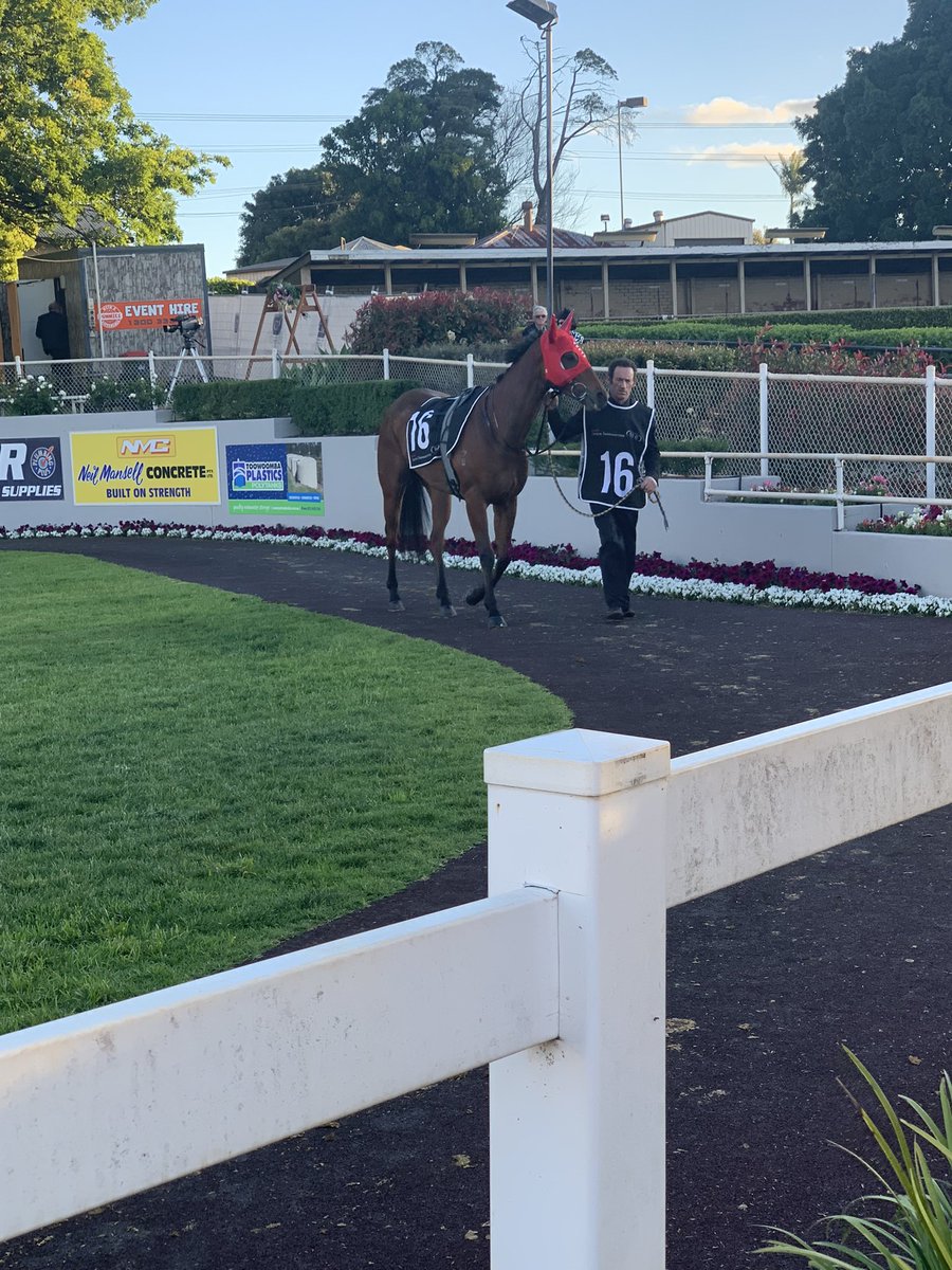 HogerNathan's tweet photo. 🐎 2023 Toowoomba Weetwood 🐎 

Our Magnus found himself an unlikely starter in the big dance itself, the 2023 Toowoomba Weetwood. Hoping he’d run well, the little champion he is, once again surpassed our expectations, showing all his heart to run a gallant 5th without much luck. https://t.co/BJiZZEf43A