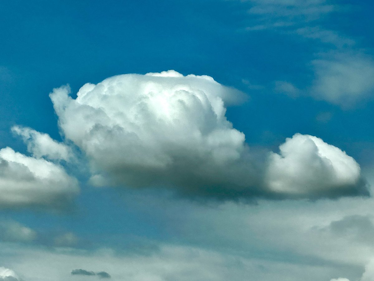 AmyFrohlich's tweet image. My favorite clouds are mammatus  buuut these ones are a close second. Cute little lenticular on top. Broke up pretty quick. But i love seeing them. @JesseWFAA #weathernerd #meteorolog-ish