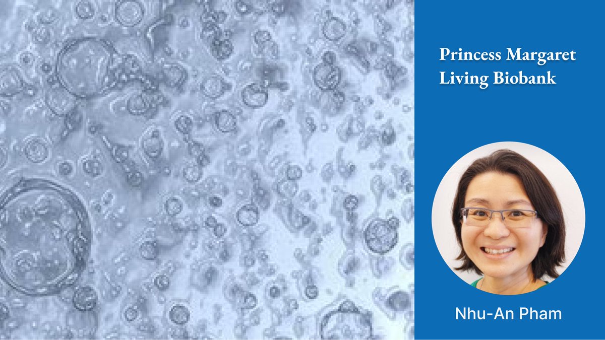 PMResearch_UHN's tweet photo. In preclinical research and drug development, Patient-Derived Tumour Organoid and Xenograft models are pivotal for testing therapy responses prior to clinical trials. PMLB offers expertise in model development, study designs and a repository for access.

>>https://t.co/FMJXqFZFOI https://t.co/xvU06Gl1vi