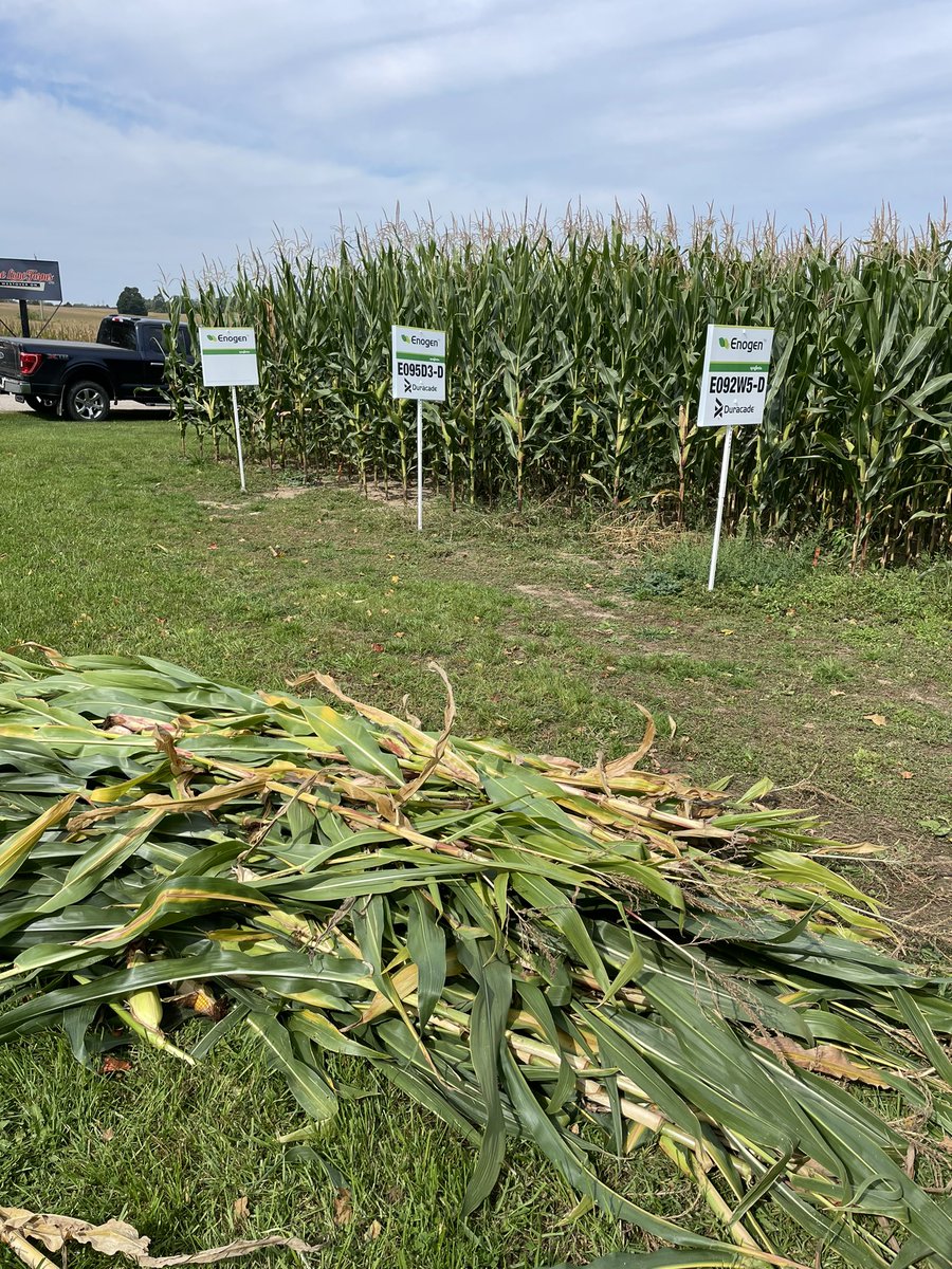 Started the week off with another <a href="/EnogenCanada/">Enogen™</a> silage plot!  Thanks to <a href="/BradNimijohn/">Brad Nimijohn</a> &amp; <a href="/carrie_nimijohn/">𝒞𝒶𝓇𝓇𝒾𝑒 𝒩𝒾𝓂𝒾𝒿𝑜𝒽𝓃</a>, your plot turned out great!  With @NickCowan3, <a href="/abbylindner_/">Abby Lindner</a> &amp; <a href="/SamanthaKlaver/">Samantha Klaver</a> on-site, we were done in no time! #TeamWork <a href="/NKSeedsCanada/">NK® Seeds Canada</a>