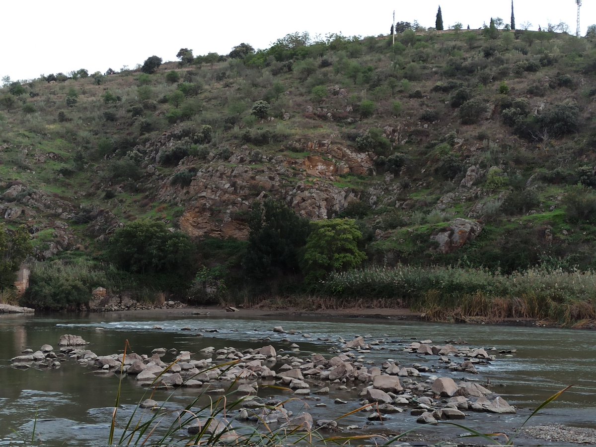 toledometeo_'s tweet photo. Ya no es necesaria la barca para cruzar
#RíoTajo #Toledo https://t.co/9dxIYEoDK0