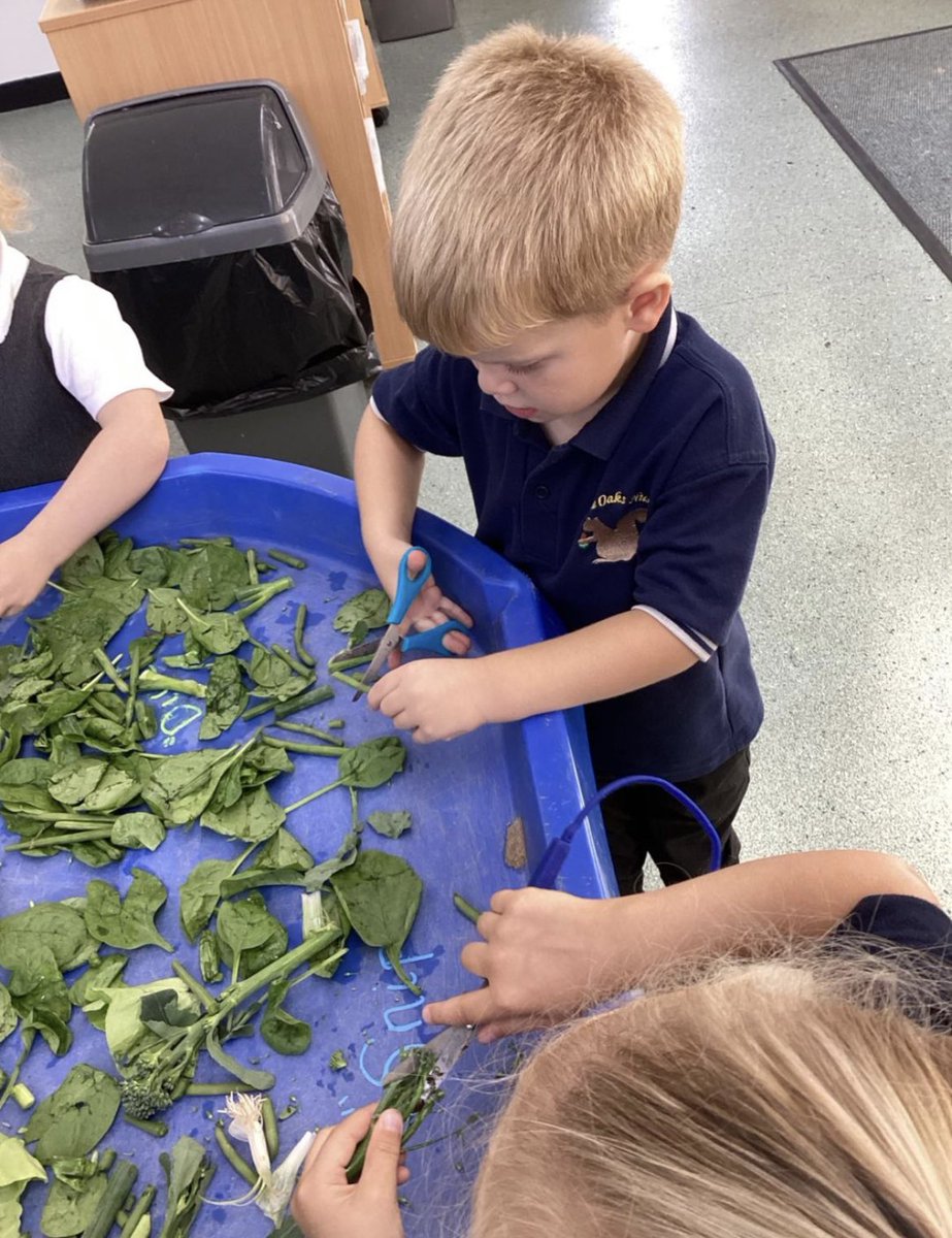 Today the children practiced their fine motor skills by learning how to use the scissors correctly to cut up the vegetables. The children also identified the veg and talked about the smell, textures and colours 🤩 @InfinityAcad @WybertonPrimary