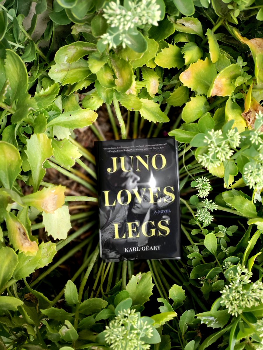 Irishwritermom's tweet photo. I LOVED this week's Must Read Monday. JUNO LOVES LEGS by @GearyKarl is not to be missed! 
This is a heartwarming coming of age story full of childhood angst, love, heartache and friendship. This beautiful story will leave readers with an array of emotions wanting more! https://t.co/Ql9CLbLcjk