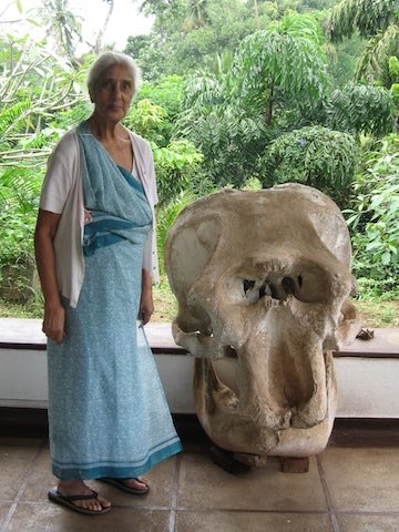 The 37,000-YEAR-OLD FACE and a forgotten TRAGEDY: The SHOCKING Secret