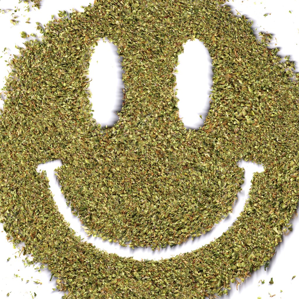 Flowers as the subject and flower as a medium🌼🌺🌸