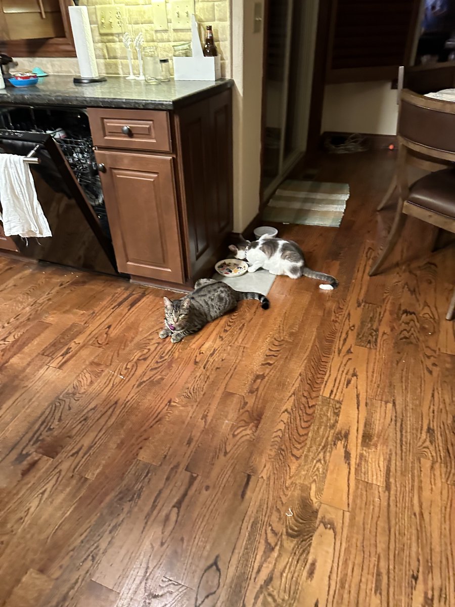 i protect mine broter while mine broter eat him dinner