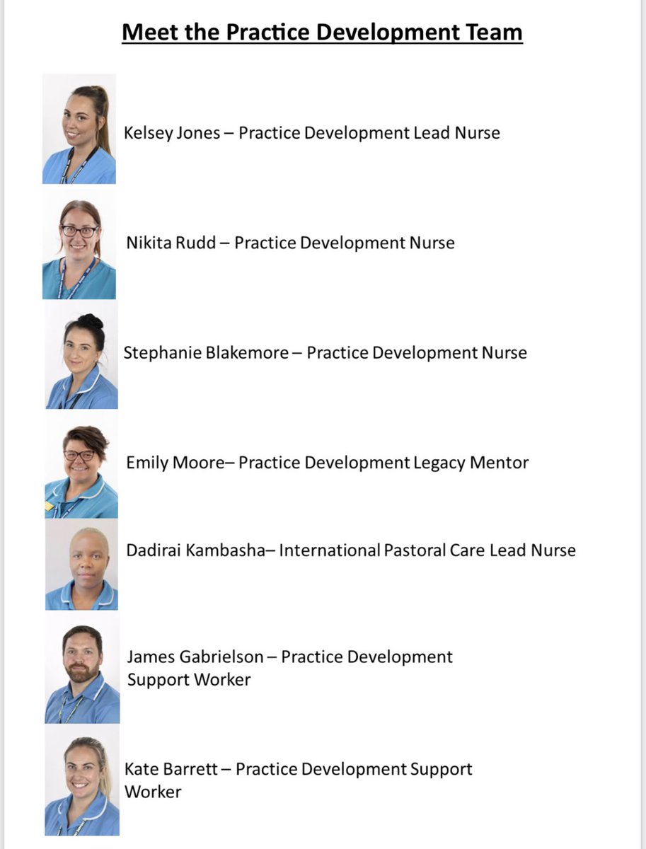 Meet the Team