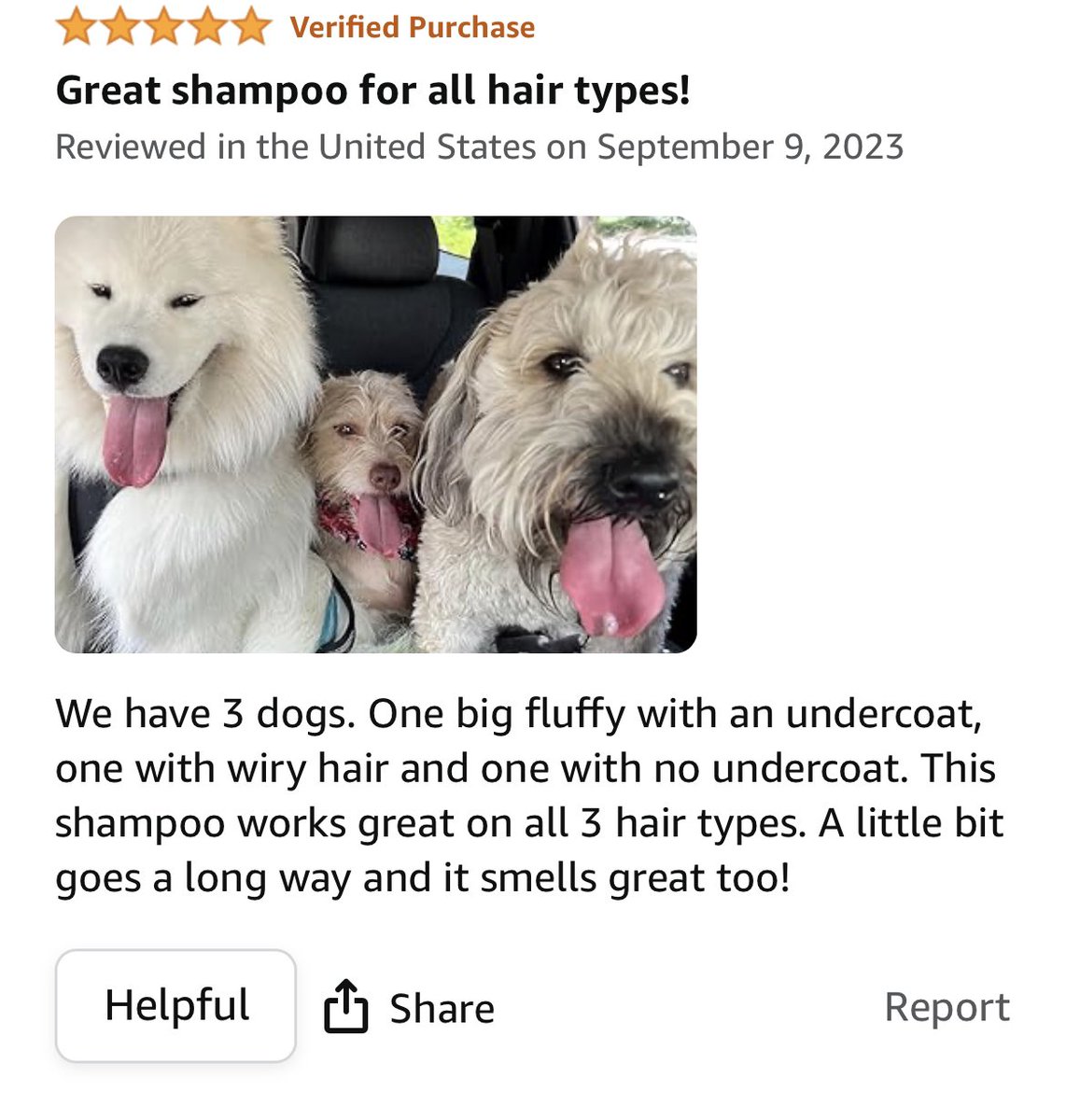 BigBentleysPS's tweet photo. Checkout this review from our Amazon store! If you’re a pet parent and need shampoo visit our website at https://t.co/azBY7Y1jJQ #dogsoftwitter https://t.co/ci5yhSeo3d