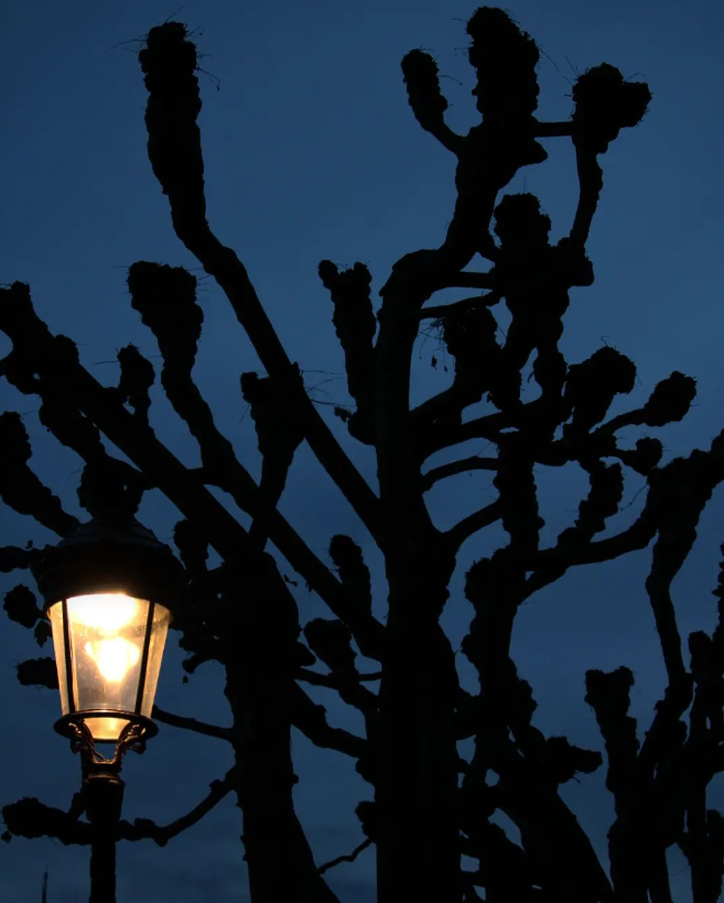 Marie_Boetti's tweet photo. La nuit à Strasbourg 📷 #photography #Strasbourg #night #Canon https://t.co/TfwxkBt1Y5