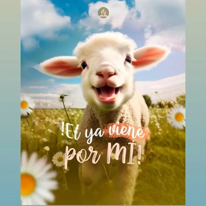 Te amo Jesús porque me amaste primero ❤️👑💒🛐
