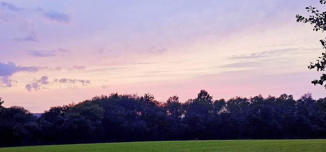 AMYS1987's tweet photo. Beautiful pink sunset tonight 💗
#sunsets #sunset @sunsetsaddicts #nightsky @MailOnline @DailyMirror @OxCots @TheOxfordMail @prophotomag @itvweather @WeatherAisling @bbcweather @TheSun #Autumn #Sky #photography #PhotoModeMonday #photographylovers #photo https://t.co/F608ACyphK