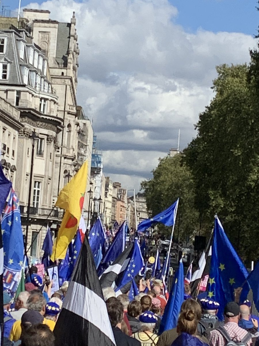 KooLnddGangCool's tweet photo. @RichardKelham @leedrizzle My guess was a lot more than that!
Way more than a football crowd.
Filled from Hyde park up the mall to parliament square.
Not as many as the first one but still a lot more than I expected. https://t.co/InpvYJufl6