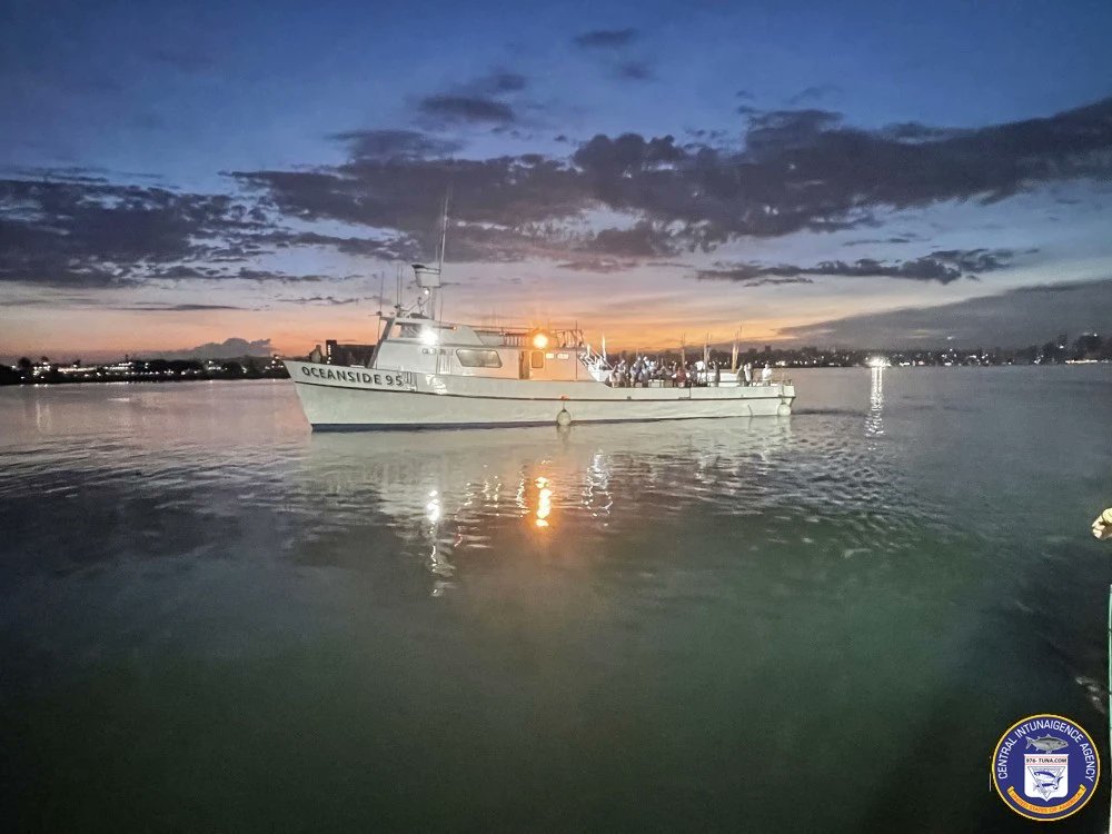 976tuna's tweet photo. Oceanside 95 Limits of Bluefin Tuna, Rick is Live https://t.co/8l3gOCXfhP #oceanside95 #pointloma #fish #fishing #fishingtrip #oceanfishing #socalfishing #fishingtrip #goodtimes #livebait #saltlife #saltwater #tasty #thetugisthedrug https://t.co/1v5D47Y3lH