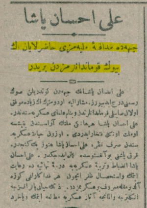 Media image