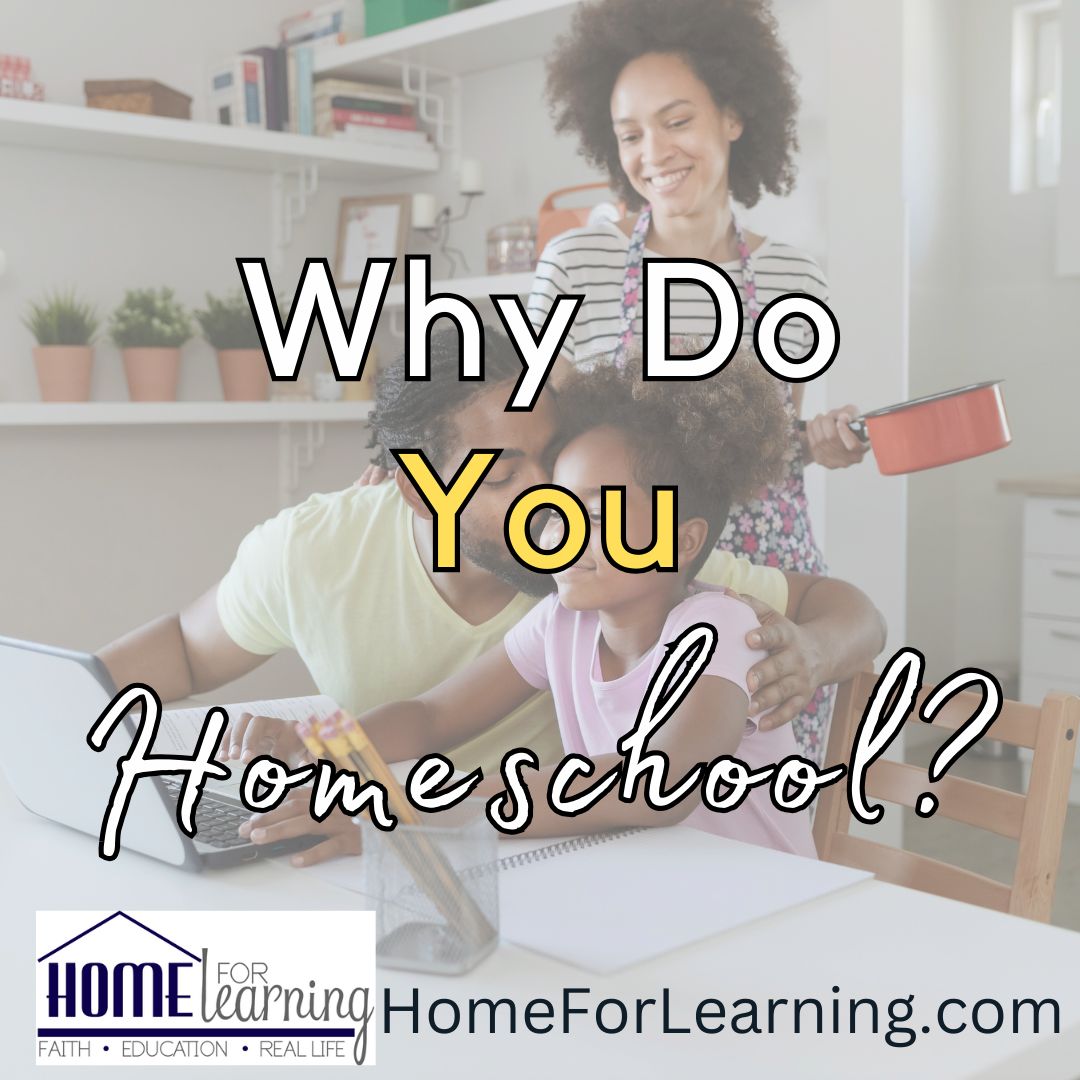 Why Do YOU Homeschool? 'Why do we Homeschool? Homeschooling, for me, has always been a way of life.Homeschooling, for me, has always been a way of life.' Read more bit.ly/456bR43