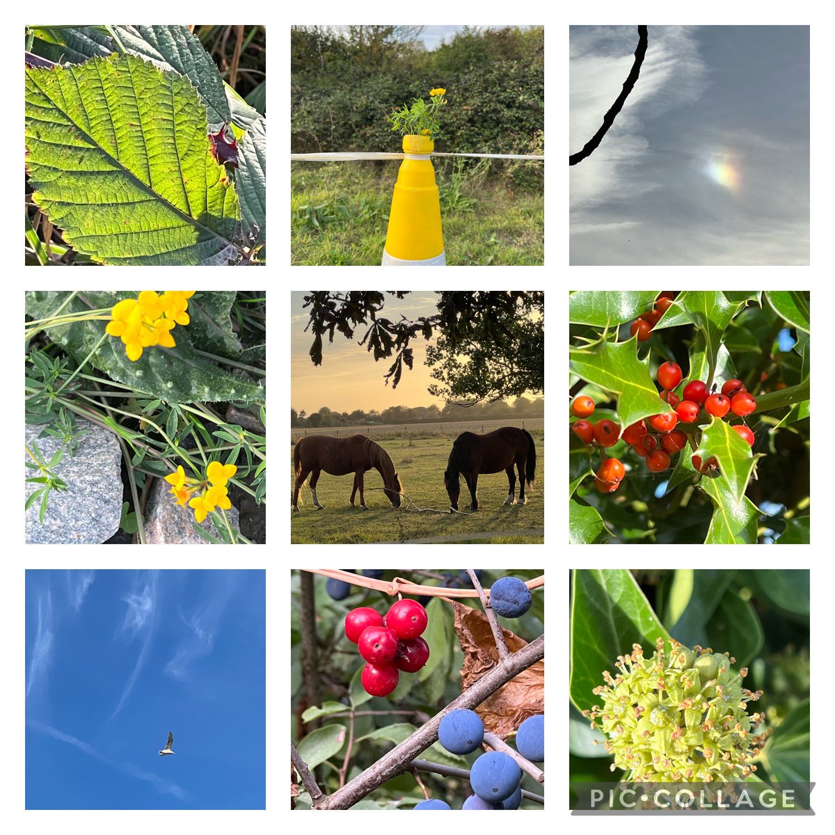 Autumn… <a href="/ChicadeeB/">DeeDee 🌼</a> <a href="/hdtgal/">Hdtgal</a> <a href="/AppezzatoPenny/">Penny Appezzato🎶💕</a> <a href="/heartie_jan/">Jan Miller</a> <a href="/Elianesabia/">Eliane Sabiá Marques</a> <a href="/KelleBleschke/">Kelle Bieschke 🦋</a> <a href="/yov_harrison09/">Yvonne Harrison</a> @Pamela_J @ChrisJanesGreen <a href="/chocolatefan88/">chocolatefan88</a> <a href="/charmedbyhiba/">⋆CharmedbyHiba ⋆❤︎⋆ SRK ⋆❤︎⋆ Cowboy Carter⋆</a> <a href="/bklyn2baypoet/">Notorious BEV</a> <a href="/feebs1907/">Fiby Henein</a> @TalkstoselfinME <a href="/chadwicktimms/">K ChadwickTimms 🇨🇦</a> <a href="/DLBeccue/">dlb</a> <a href="/Alisondegroot_5/">Alison de Groot</a> <a href="/MitchelleLinde1/">Mitchelle Lindenmoyer</a> and everyone 🙋‍♀️