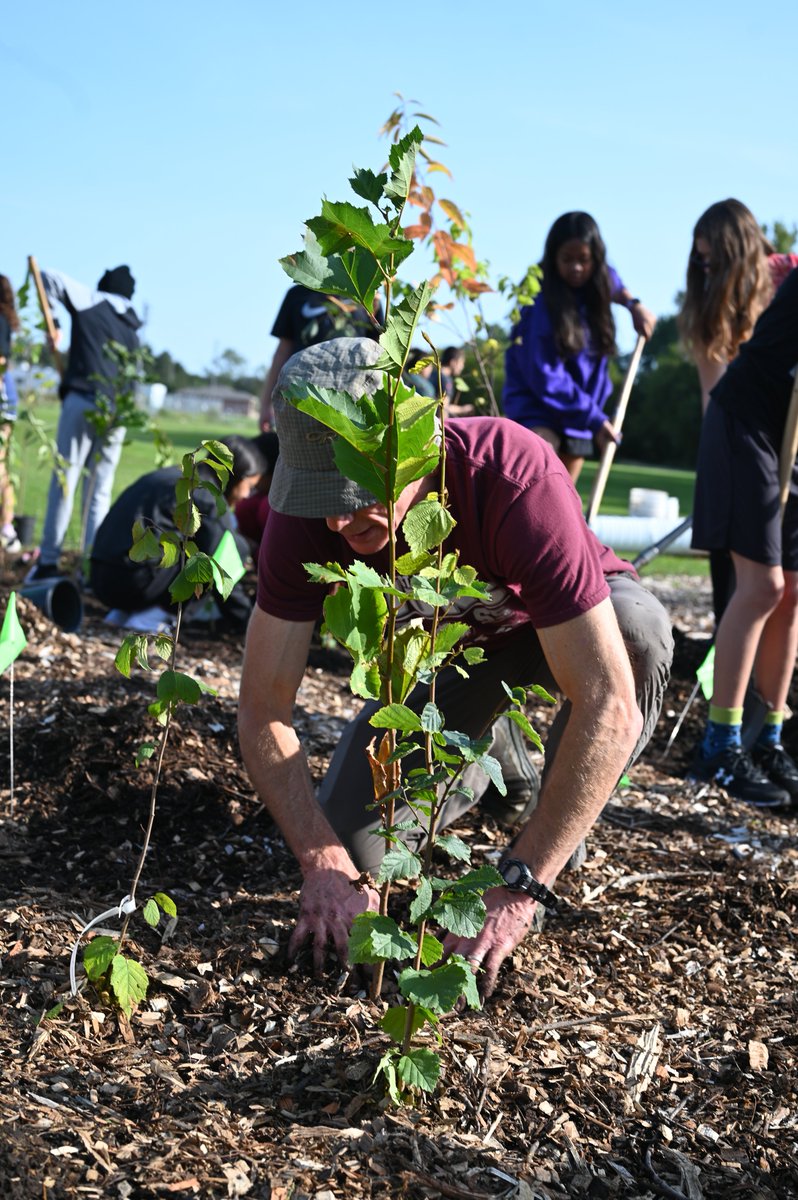 WellingtonCath's tweet image. The @cityofguelph welcomed grade 7 and 8 students from @SHFlames, and environmental science students from @lionsnewstoday, @OLOLCRUSADERS and @TheBlueBlast to help start Guelph’s first mini forest!

Read more: wellingtoncdsb.ca/apps/news/arti…