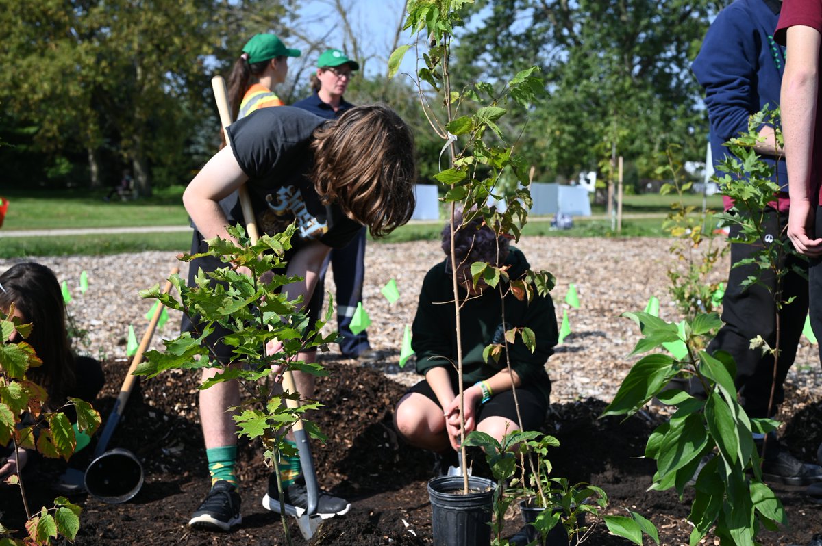 WellingtonCath's tweet image. The @cityofguelph welcomed grade 7 and 8 students from @SHFlames, and environmental science students from @lionsnewstoday, @OLOLCRUSADERS and @TheBlueBlast to help start Guelph’s first mini forest!

Read more: wellingtoncdsb.ca/apps/news/arti…
