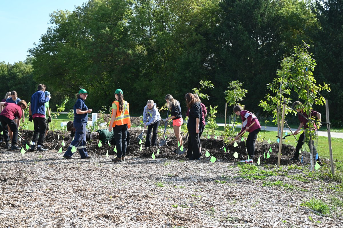 WellingtonCath's tweet image. The @cityofguelph welcomed grade 7 and 8 students from @SHFlames, and environmental science students from @lionsnewstoday, @OLOLCRUSADERS and @TheBlueBlast to help start Guelph’s first mini forest!

Read more: wellingtoncdsb.ca/apps/news/arti…