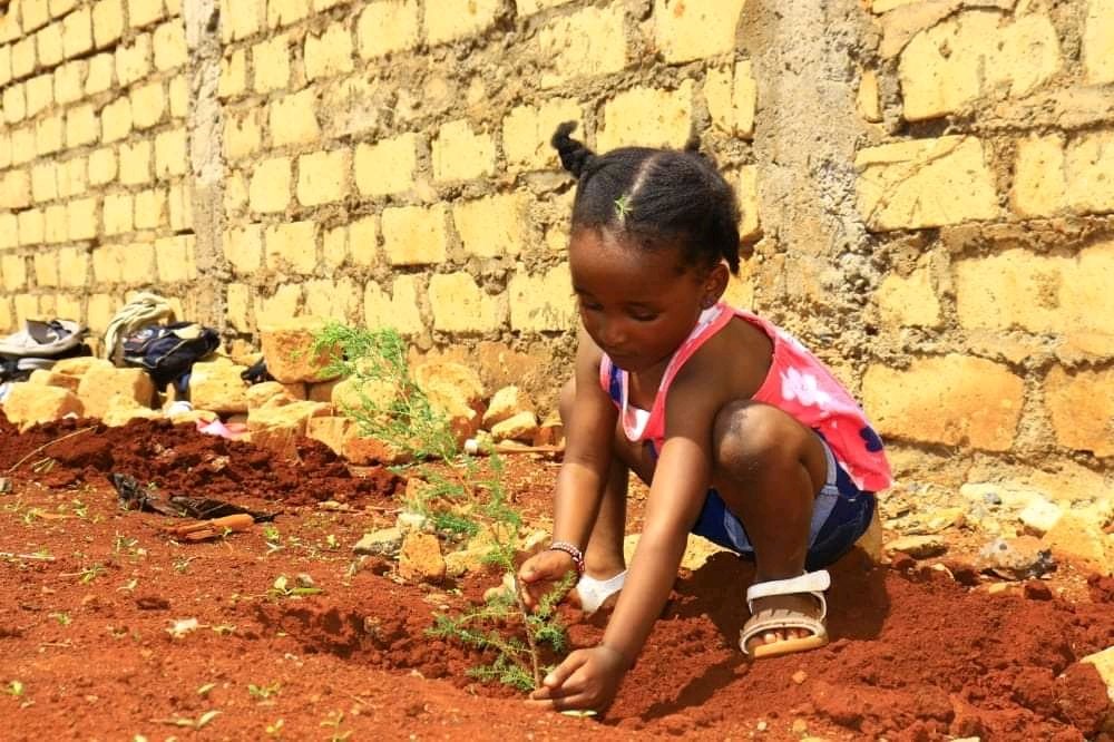 The champion of environmen conservation. Tree growing is her passion. Baby girl on mission to plant more Trees 🌴 at this age. Tree is life 🙏
<a href="/SarahAnupi/">sarah anupi kutahi</a> @HonTuya <a href="/MargaretKiogora/">Margaret Kiogora CHRP (K)</a>
#ClimateActionNow #jazamiti #Treegrowing @GMugambi_EBS #เอเชียนเกมส์ #life
#JosephatOdipoExposed