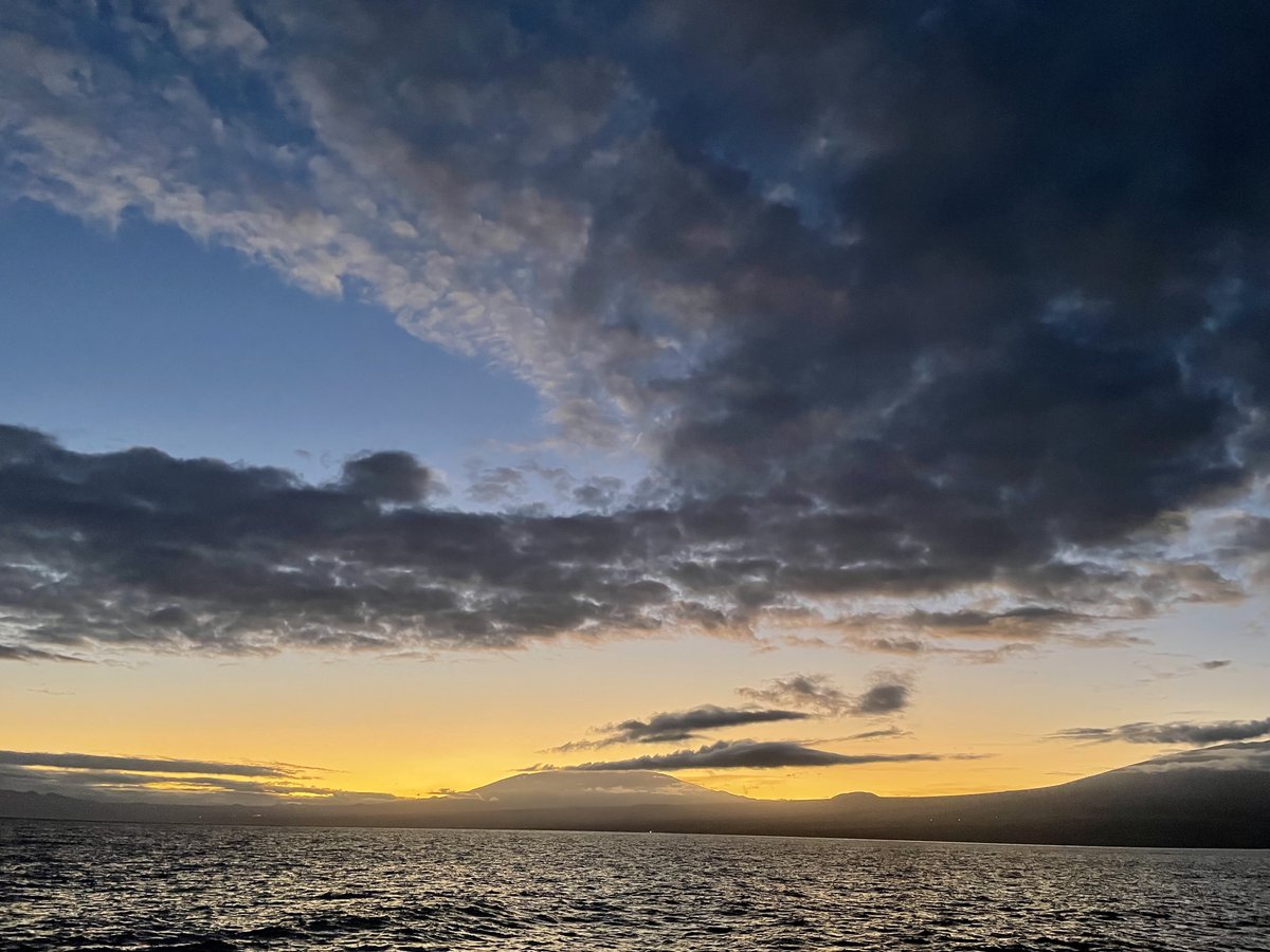 Christina Ravelo tweet media