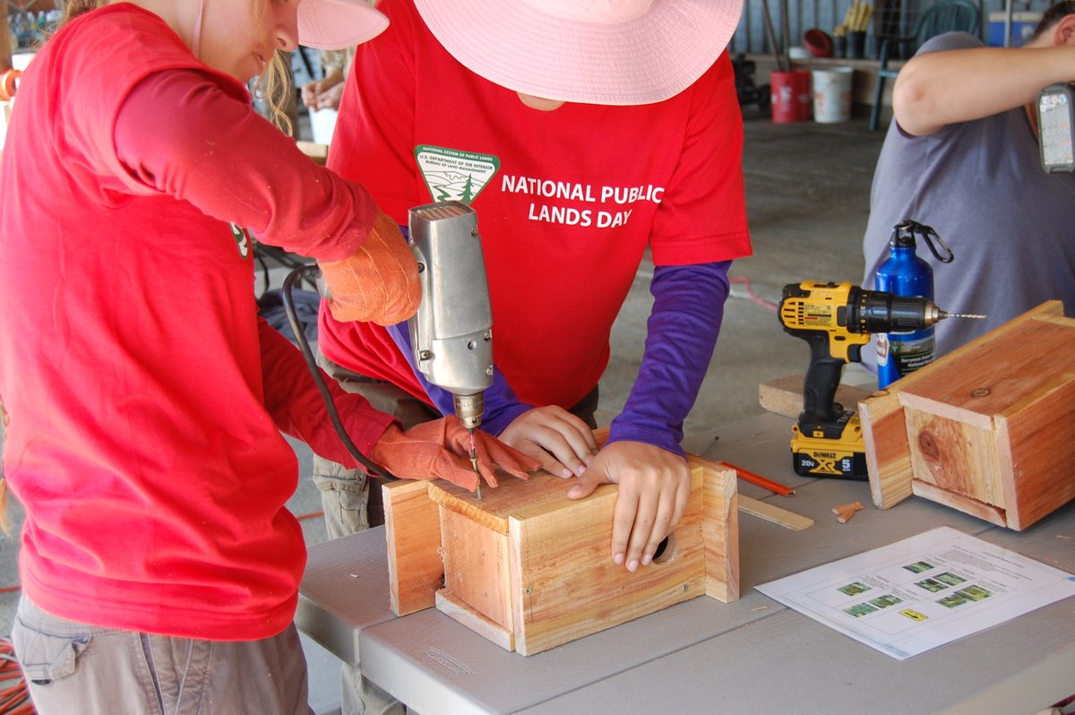 CosumnesRiverP's tweet photo. THANK YOU to all who celebrated National Public Lands Day at the Cosumnes River Preserve! By volunteering with us, you not only contribute to the well-being of our public lands but also foster community, teamwork, and the enjoyment of nature.

#nationalpubliclandsday #NEEF https://t.co/avsKqNTrbE