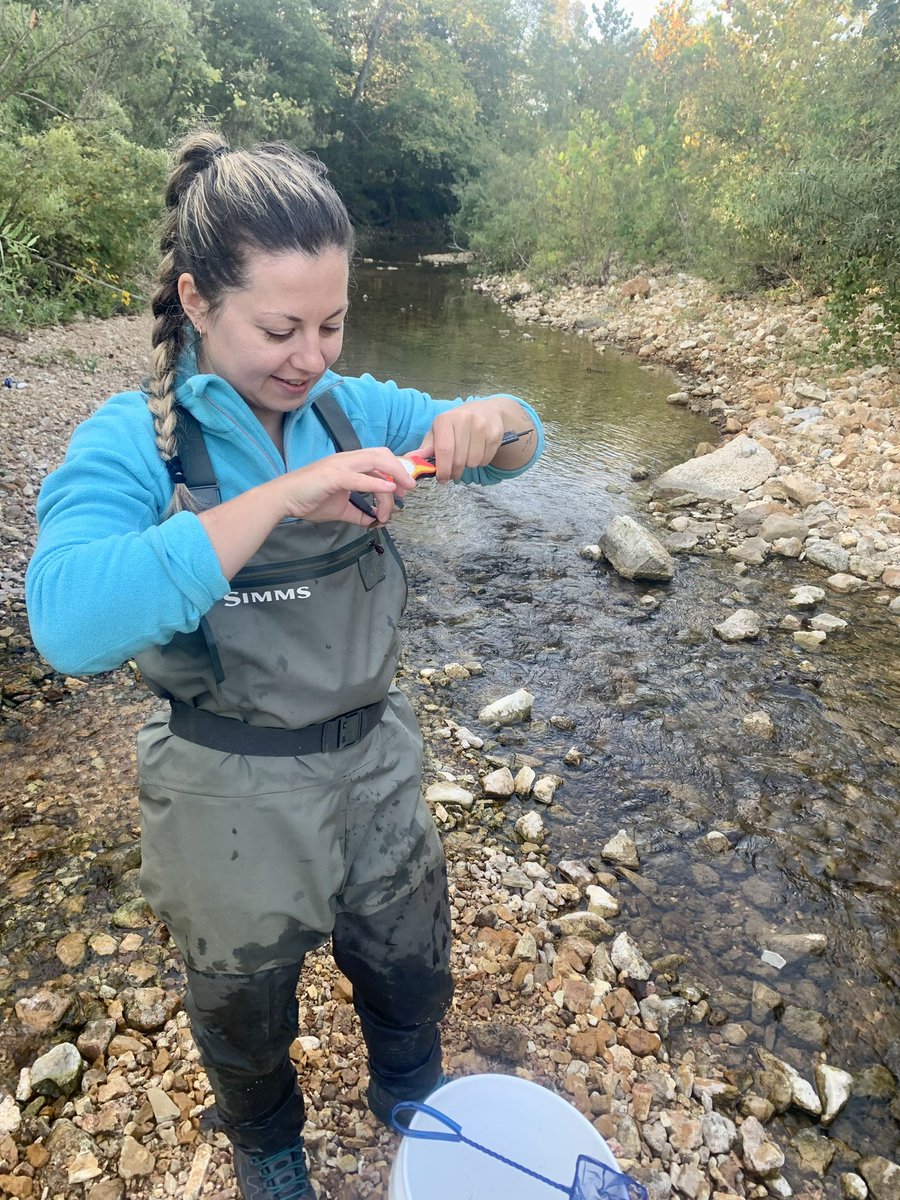 tonynft333ETH's tweet photo. Do seasonal drought and flow regime influence the colonization &amp; local extinction dynamics of Mammoth Spring crayfish populations?

Field work is officially over - data analysis, results, &amp; discussion to come! https://t.co/8uNMft3eHD