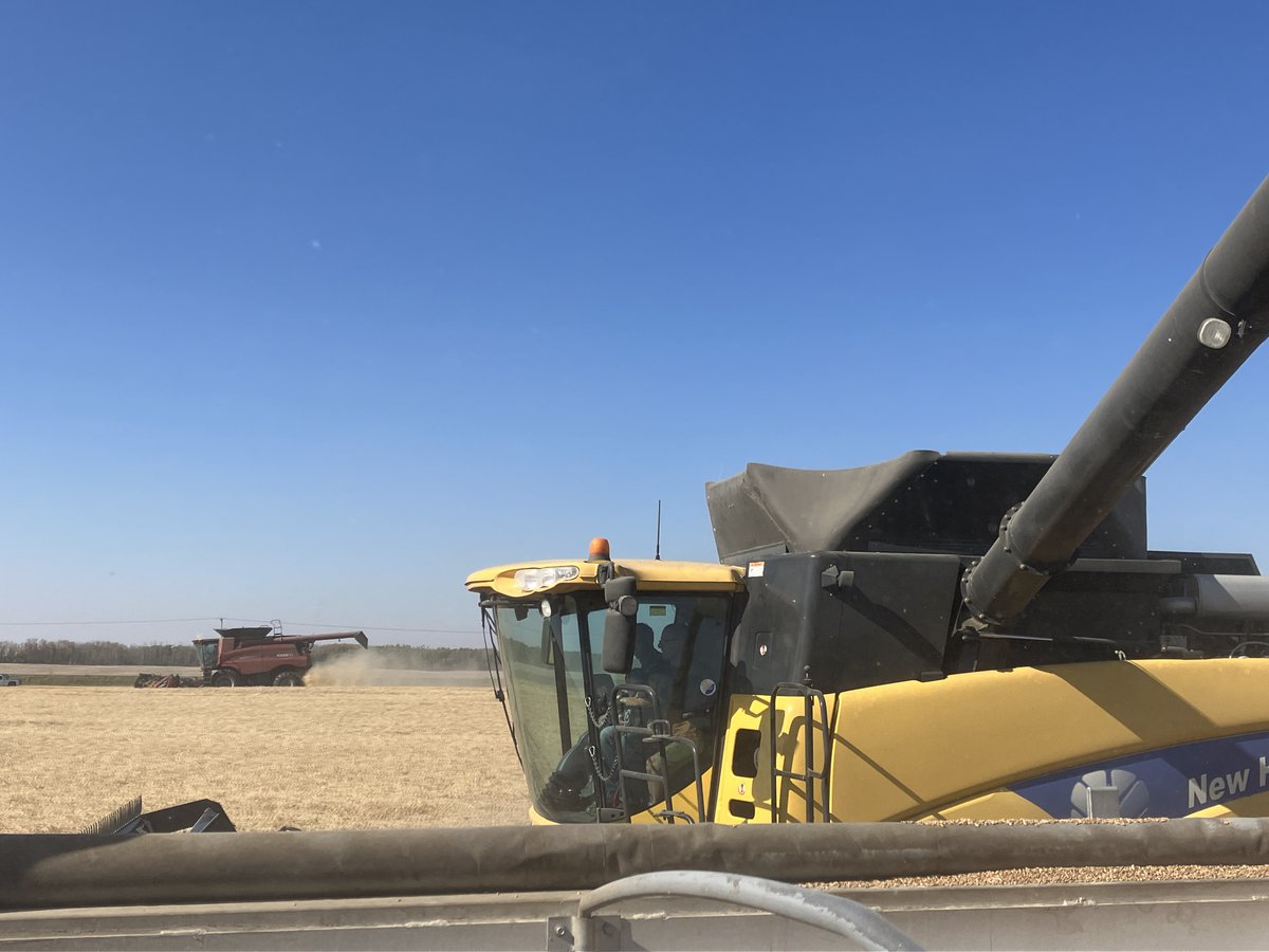 HetSeeds's tweet photo. Another great crop for the Canadian Foodgrains bank off the Naicam Spalding Grower's Project!  Over 80 bu/ac HRSW!  5 combines, 2 tandems, 3 semis, a grain cart, cookies, cupcakes, almish bread, drinks, and at least 32 people!  @Foodgrains #harvest23 https://t.co/YeAYJjtTKd