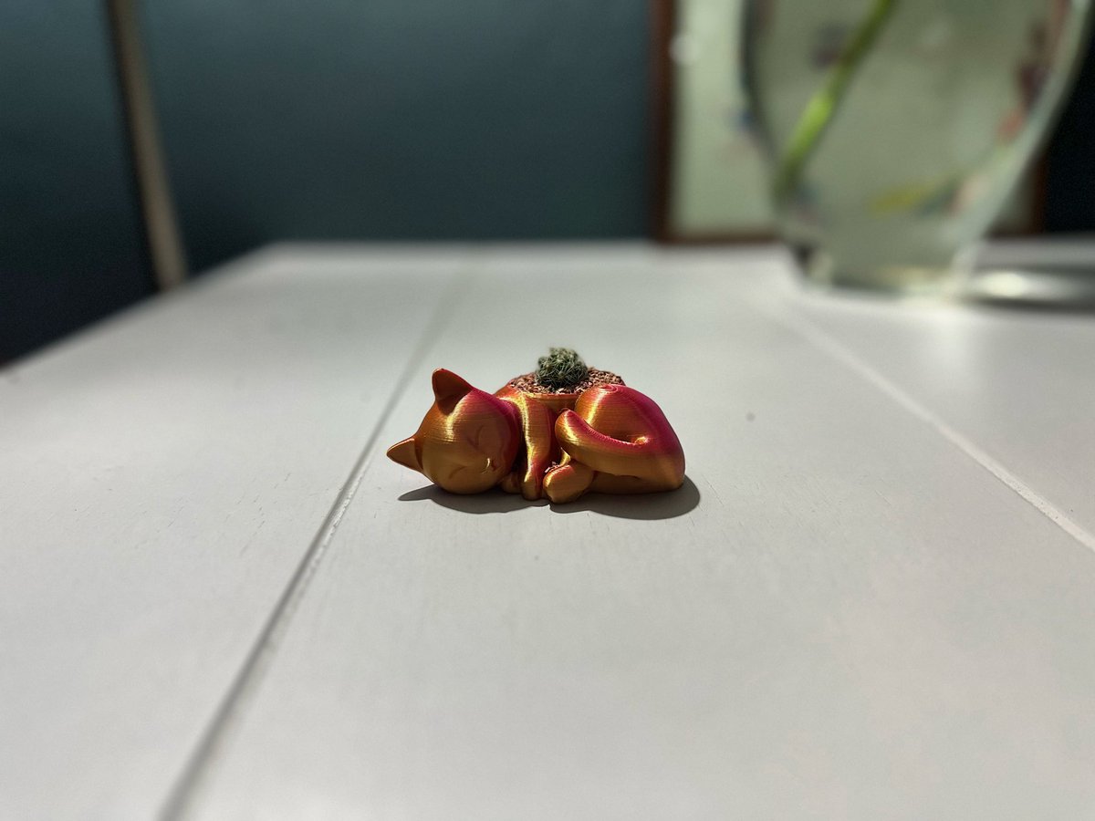 peronosoyyo's tweet photo. 🐈🌱 https://t.co/AesLgLDhlW